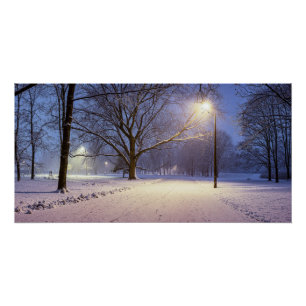 Street lights and covered in snow trees poster