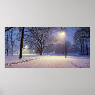 Street lights and covered in snow trees poster