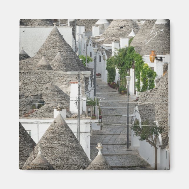 Street with trulli houses in Alberobello, Puglia Magnet (Front)