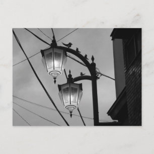 Streetlights: Ohanajaya, Tokyo Postcard