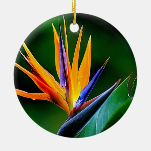 Strelitzia. Bird of paradise flower. Ceramic Tree Decoration (Back)