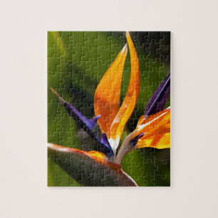 Strelitzia. Bird of paradise flower. Jigsaw Puzzle