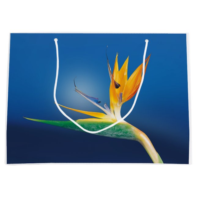 Strelitzia. Bird of paradise flower. Large Gift Bag (Front)