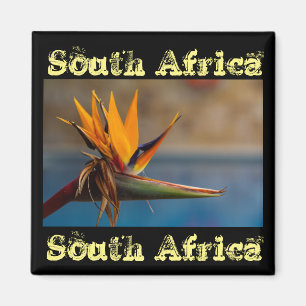 Strelitzia Flower South Africa Nature Magnet