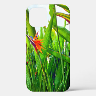 Strelitzia Reginae & Leaves iPhone 12 Case