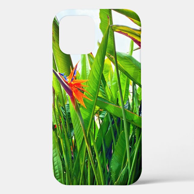 Strelitzia Reginae & Leaves Case-Mate iPhone Case (Back)