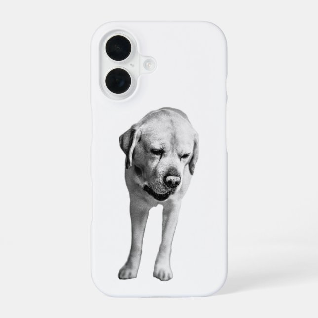 Strength in Stillness iPhone 16 Case (Back)