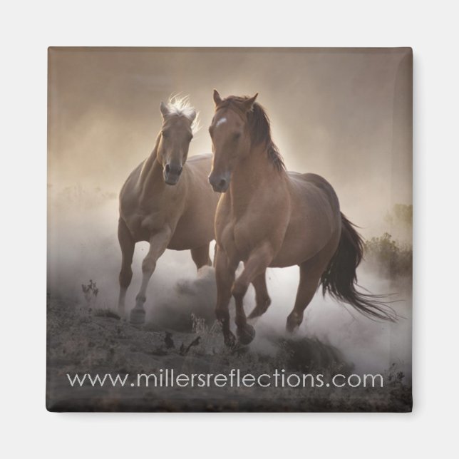 Strength Magnet (Front)