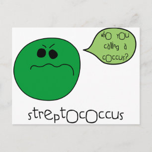 Streptococcus Postcard