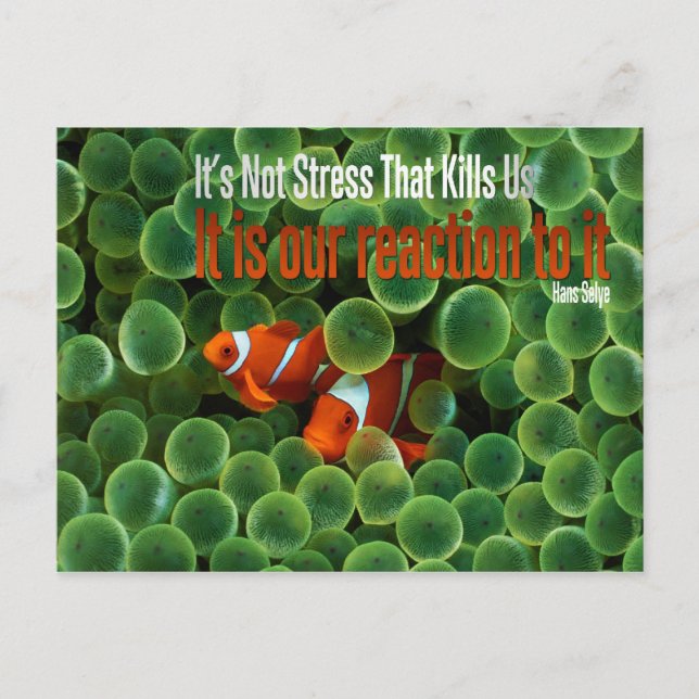 Stress Motivational Postcard (Front)