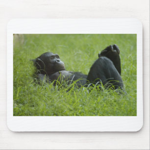 Stress Relief Mouse Pad