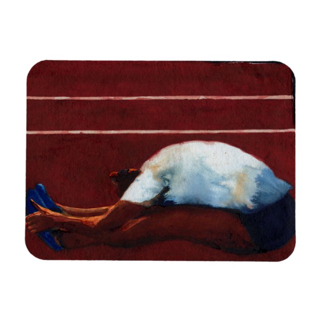 Stretch 2011 magnet (Horizontal)