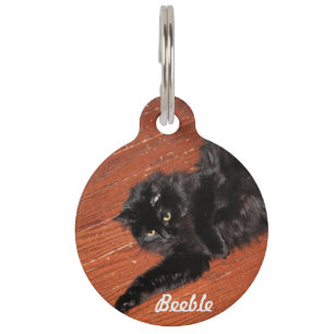 Stretch Pet Tag