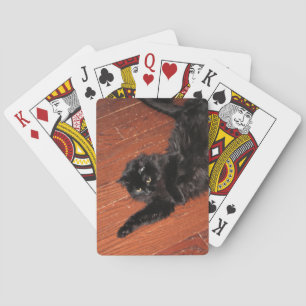 Stretch Playing Cards