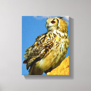 Stretched Canvas Print