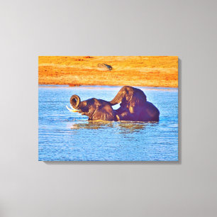 Stretched Canvas Print