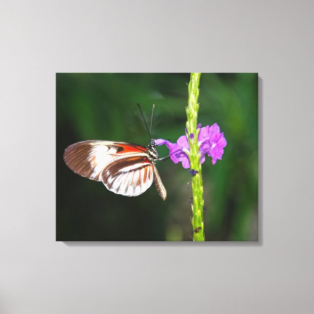 Stretched Canvas Print (Front)