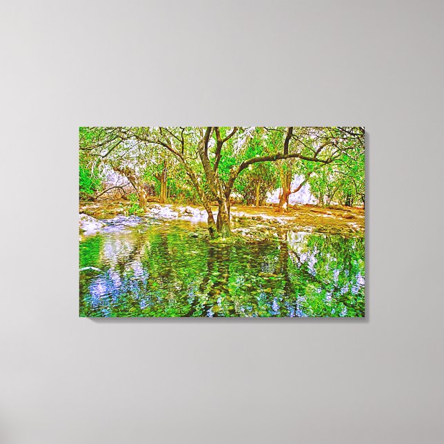 Stretched Canvas Print (Front)