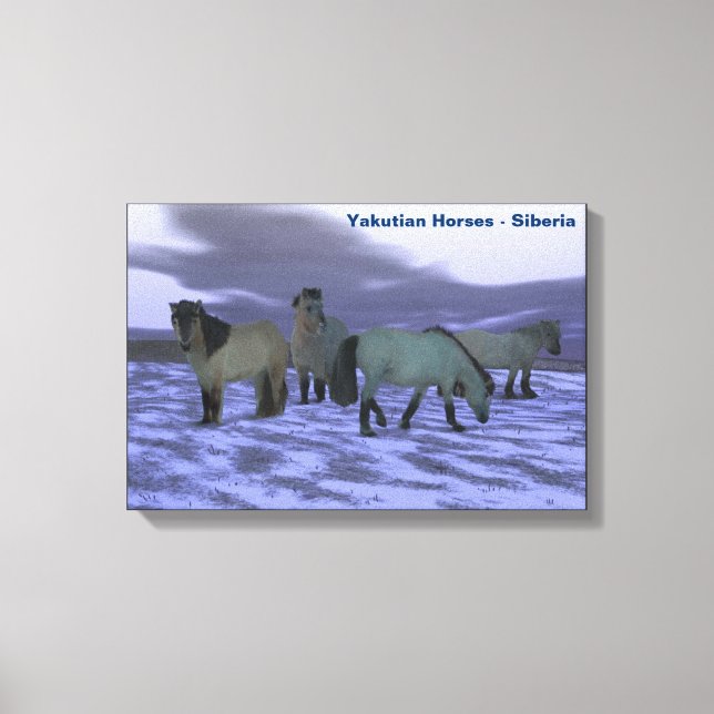 Stretched Canvas Print (Front)