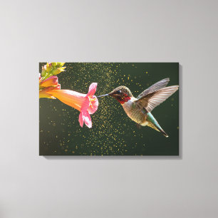 Stretched Canvas Print