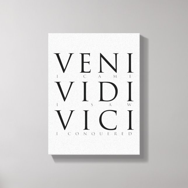 Stretched Canvas Print (Front)