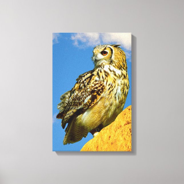 Stretched Canvas Print (Front)