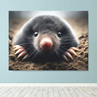 Stretched Canvas Print