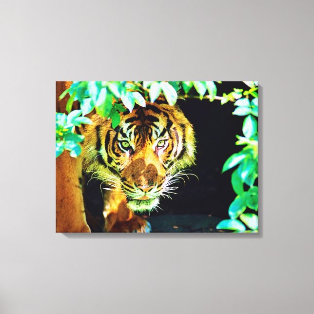 Stretched Canvas Print (Front)