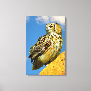 Stretched Canvas Print