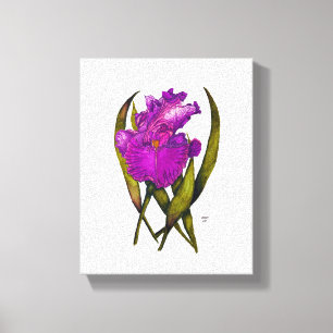 Stretched Canvas Print