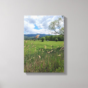 Stretched Canvas Print