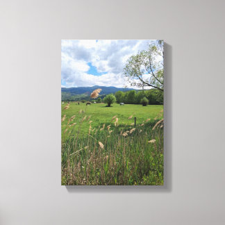 Stretched Canvas Print