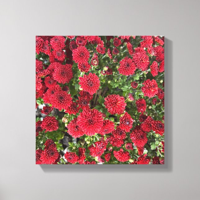 Stretched Canvas Print (Front)