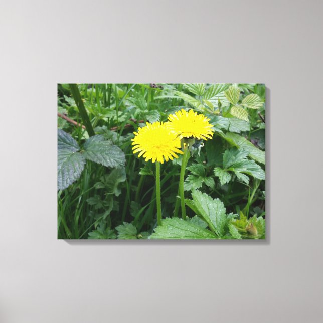 Stretched Canvas Print (Front)