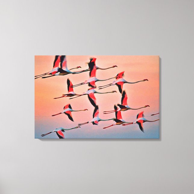 Stretched Canvas Print (Front)