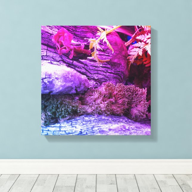 Stretched Canvas Print, Inside my Garden. Print (Insitu(Wood Floor))