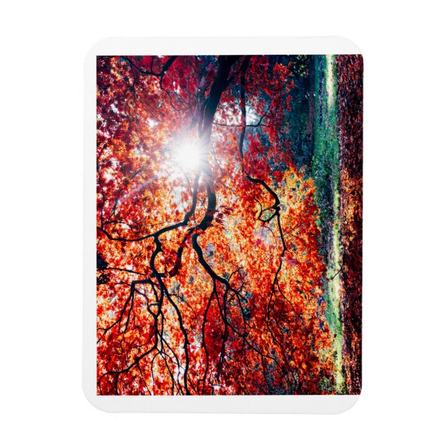 Stretched Canvas Print Magnet (Vertical)