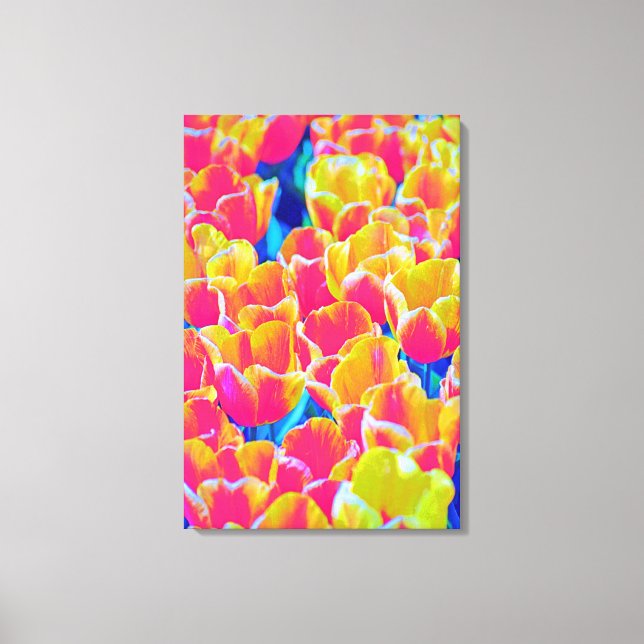 Stretched Canvas Print tulips  (Front)