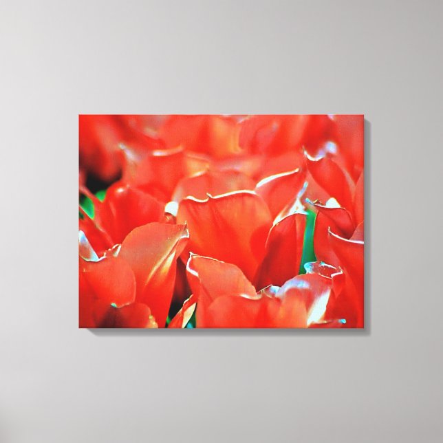 Stretched Canvas Print tulips  (Front)