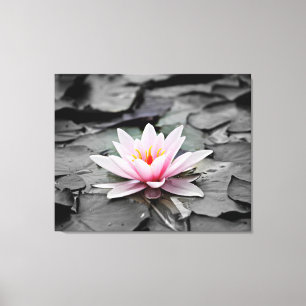 Stretched Wall Canvas Print