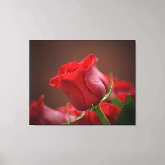 Stretched Wall Canvas Print (Front)