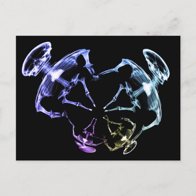 Stretched X-Ray Skeleton Family 2 Postcard (Front)