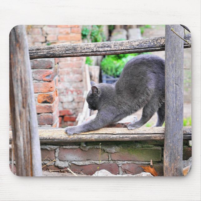 Stretching cat mouse pad (Front)