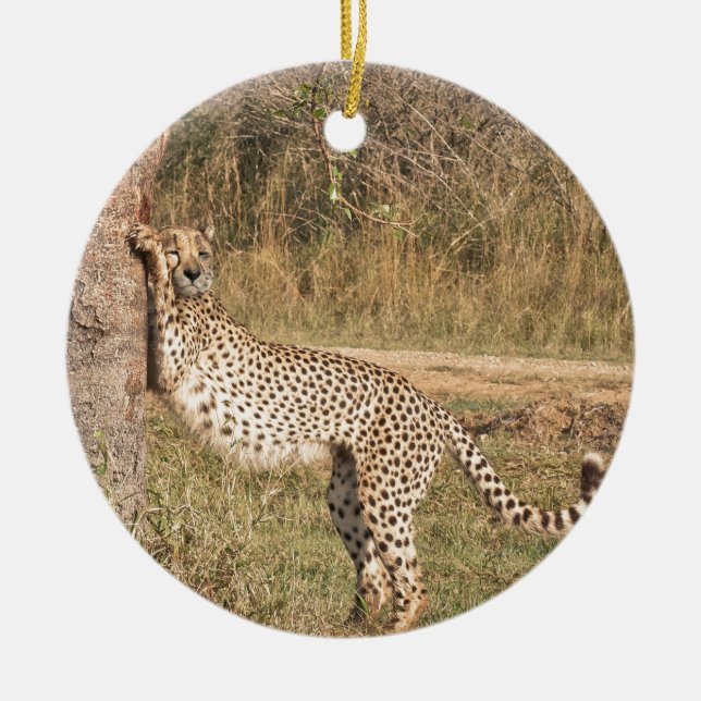 Stretching Cheetah Ceramic Tree Decoration (Front)