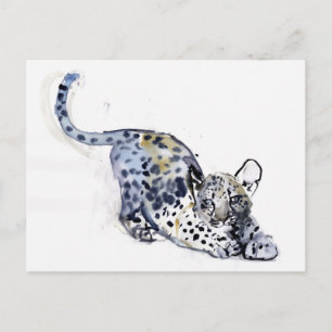 Stretching Cub Postcard