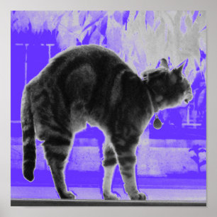 Stretching Indigo B+W Poster