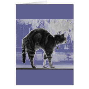 Stretching Indigo Pencil