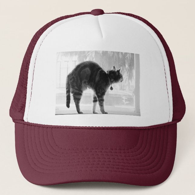 Stretching Indigo Pencil Trucker Hat (Front)