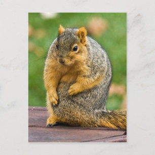 Stretching Out Postcard