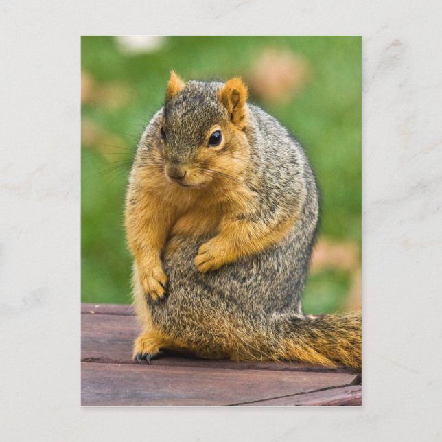 Stretching Out Postcard (Front)